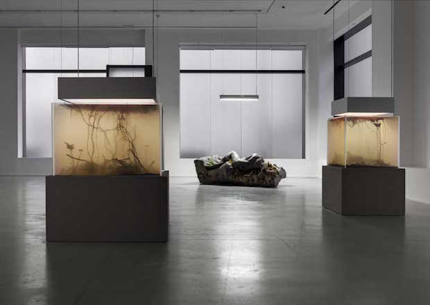 In-Border-Deep-Pierre-Huyghe-2
