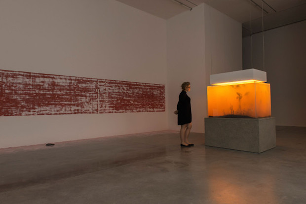 In-Border-Deep-Pierre-Huyghe-3