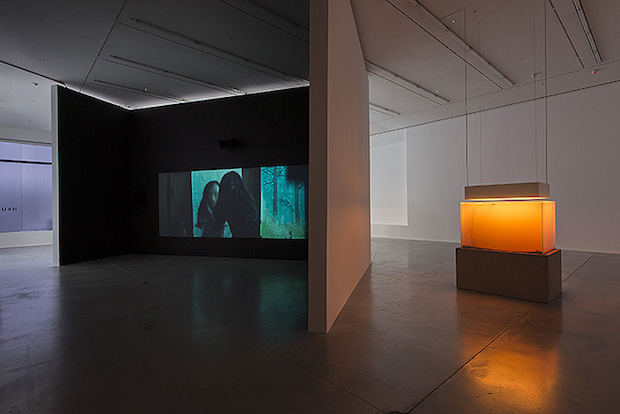 In-Border-Deep-Pierre-Huyghe-4