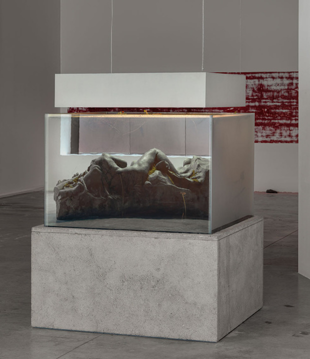 In-Border-Deep-Pierre-Huyghe-7