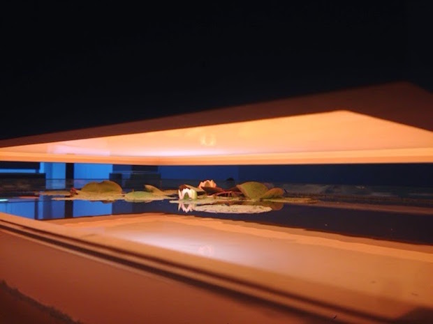In-Border-Deep-Pierre-Huyghe-9