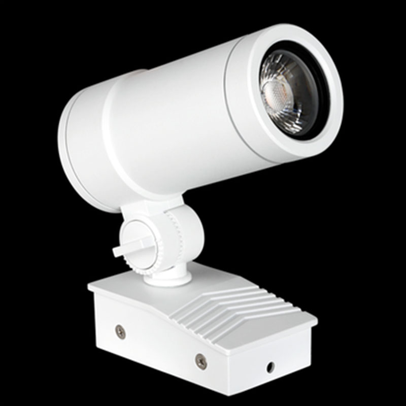 Projecteur Led POLY 10