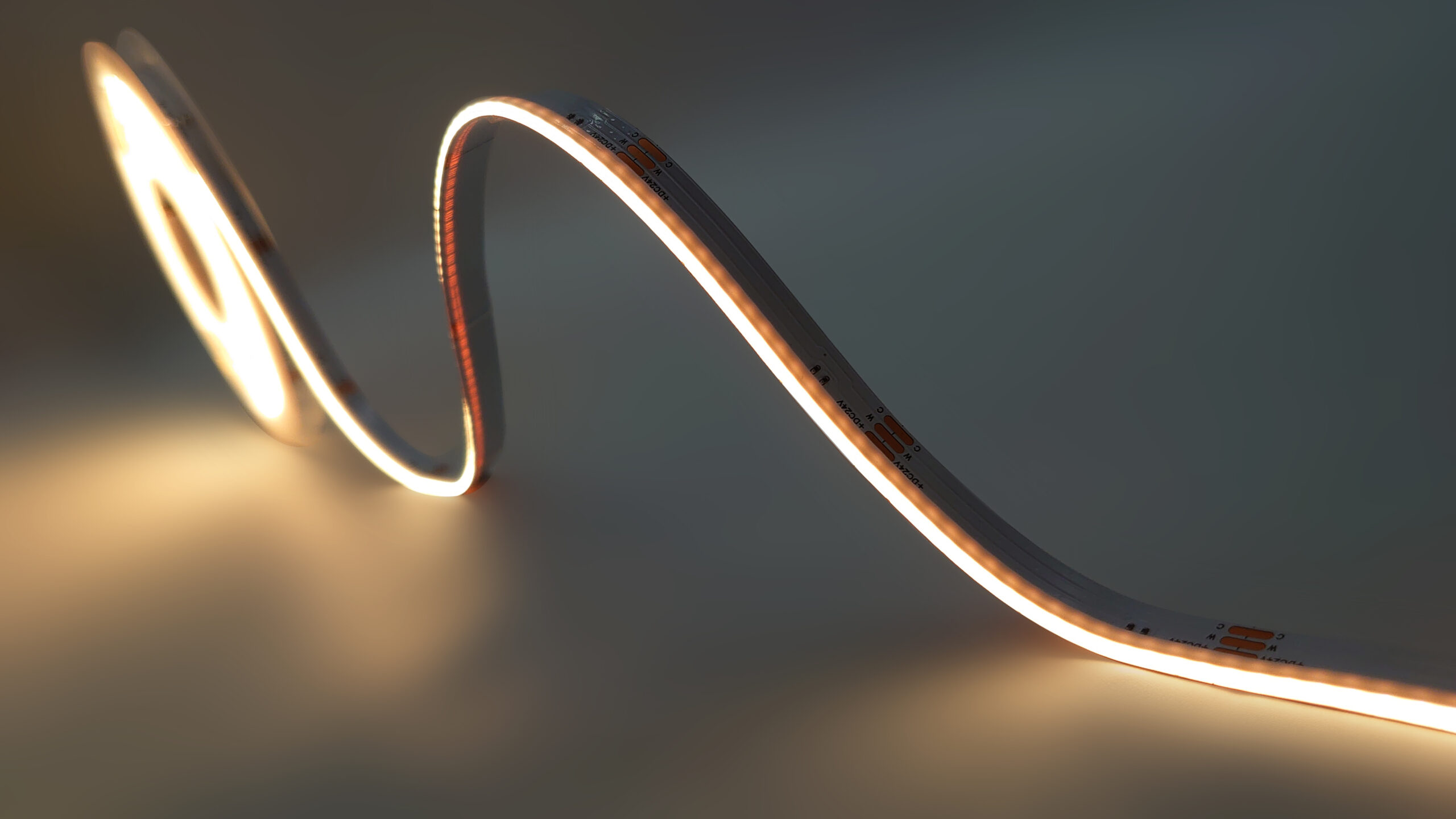 Ruban LED COB Side View