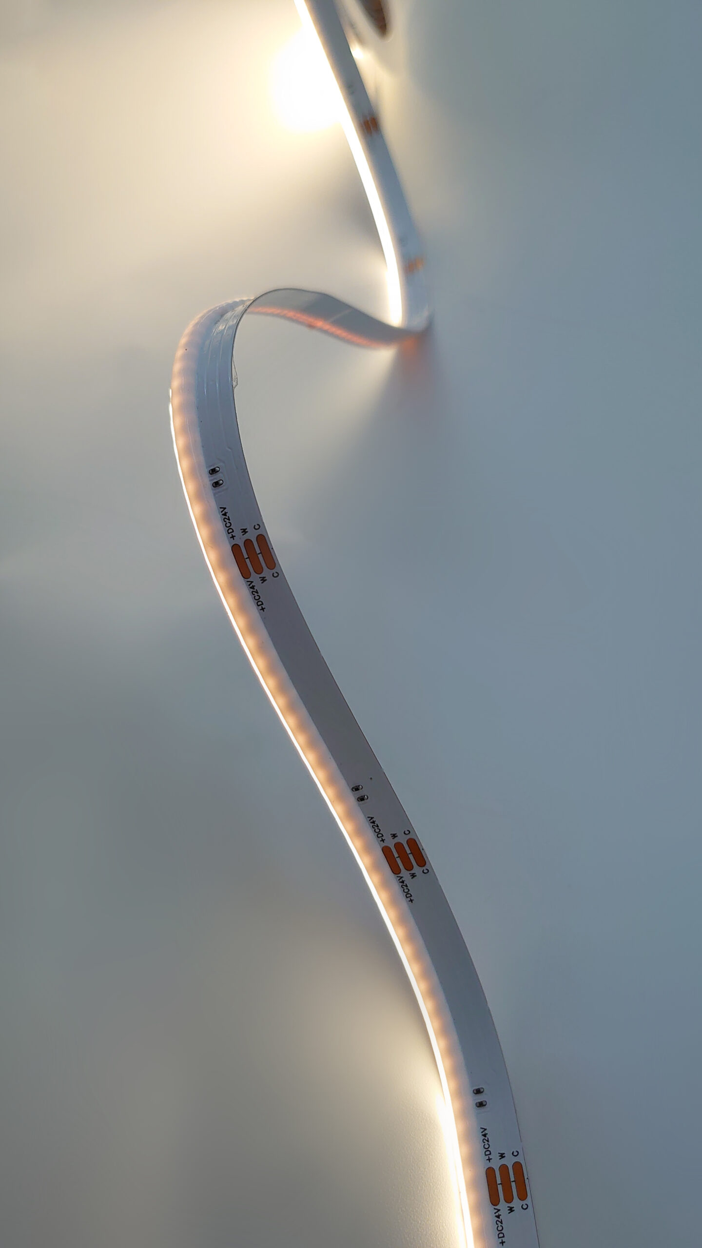 Ruban LED COB Side View