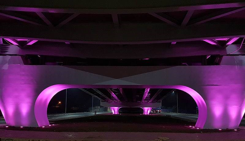 Le Hong Phong Flyover