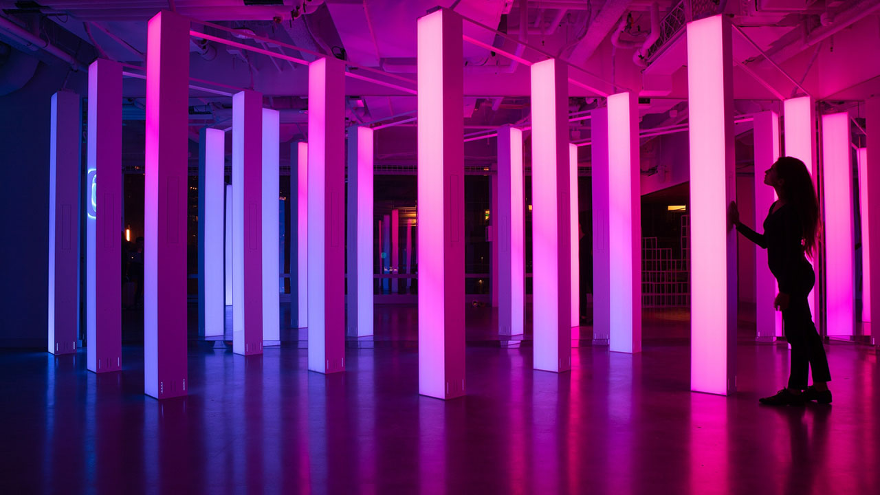 Light Forest
