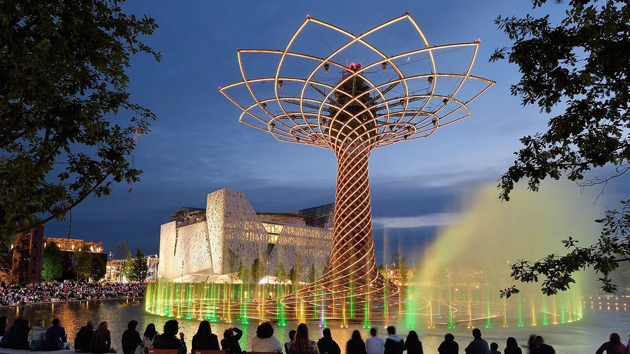 Tree of life