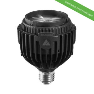 Valise 8 x lampes SolaBulb - E27 - ASTERA – Image 3
