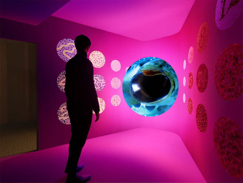 L'installation immersive Re:Vision utilisant des sources Led pour recréer différents spectres colorimétriques de visions.
