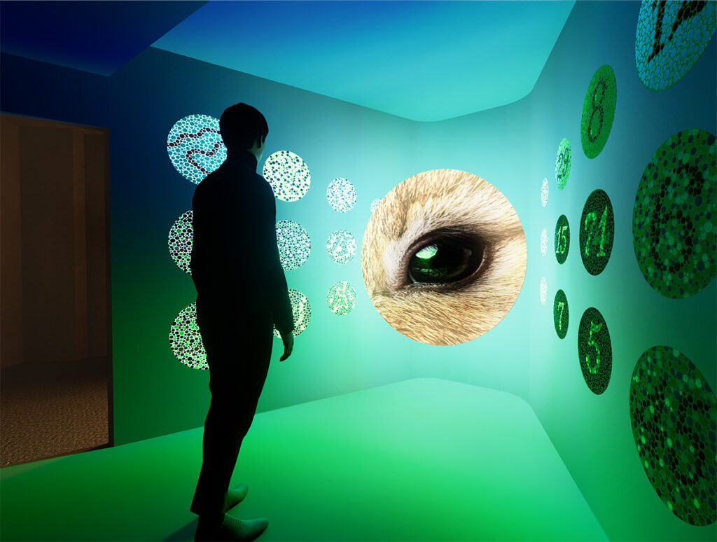 L'installation immersive Re:Vision utilisant des sources Led pour recréer différents spectres colorimétriques de visions.