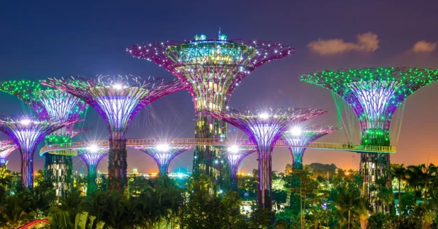 📍 Marina Bay, Singapour

🌿 Symbole de l’innovation paysagère à Singapour, Gardens by the Bay réunit nature, architecture et lumière dans un environnement spectaculaire. Ses célèbres Supertrees, dont certains atteignent jusqu’à 50 mètres de hauteur, deviennent à la nuit tombée de véritables sculptures lumineuses.

💡 Grâce à un système d’éclairage LED intégré, les structures s’illuminent au rythme de la musique lors du Garden Rhapsody. Couleurs, intensités et animations sont programmées pour créer une scénographie immersive tout en mettant en valeur les formes organiques des Supertrees et la végétation environnante.

—————————
🔗 En savoir plus
ledbox.fr/blog/
────────

#GardensByTheBay #ArchitecturalLighting #LEDLighting #LightingDesign #LandscapeLighting